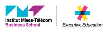 IMT-BS logo